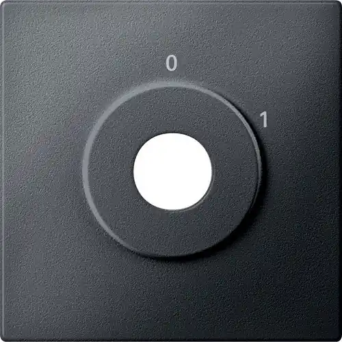 A Buen Precio TAPA INTERRUPTOR LLAVE 2 POSICIONES ANTRACITA