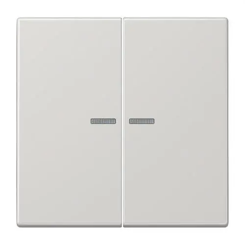 TECLA DOBLE CON 2 VISORES PARA 505KOU GRIS CLARO Envío Inmediato
