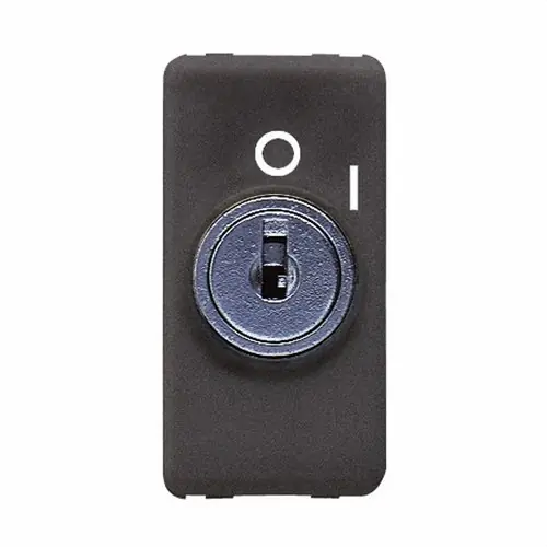 A Buen Precio INTERRUPTOR 2P 250V AC DE 10AX TECLA CON LLAVE 1 MÓDULO NEGRO